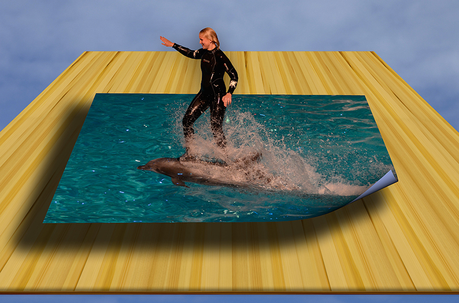 Dolphin Surfer